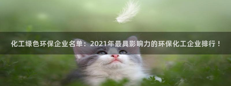 亿万先生mr07官网：化工绿色环保企业名单：2021年最具影响力的环保化工企业排行 !