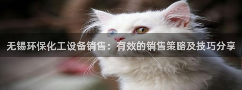 官方网站下载亿万人生：无锡环保化工设备销售：有效的销售策略及技巧分享