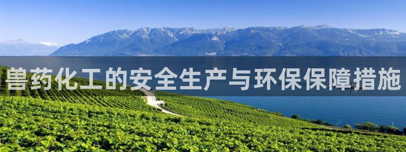 兽药化工的安全生产与环保保障措施