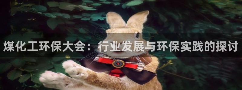 亿万 下载：煤化工环保大会：行业发展与环保实践的探讨