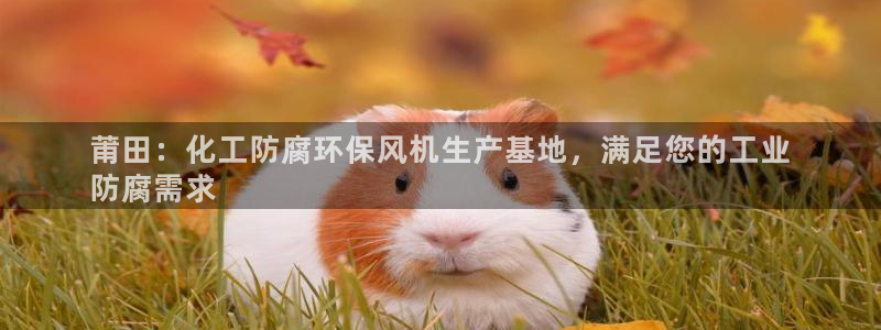亿万先生客户端：莆田：化工防腐环保风机生产基地，满足您的工业
防腐需求