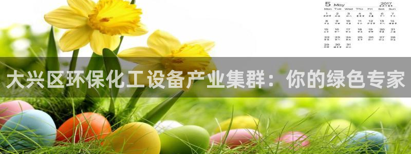 亿万网友在线实时为您解答问题：大兴区环保化工设备产业集群：你的绿色专家