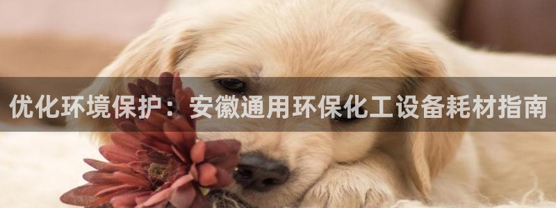 亿万番外：优化环境保护：安徽通用环保化工设备耗材指南