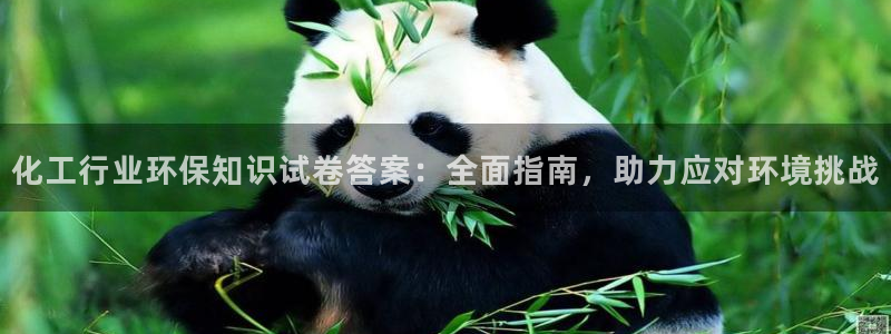 亿万的亿：化工行业环保知识试卷答案：全面指南，助力应对环境挑战