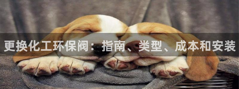 亿万先生app：更换化工环保阀：指南、类型、成本和安装