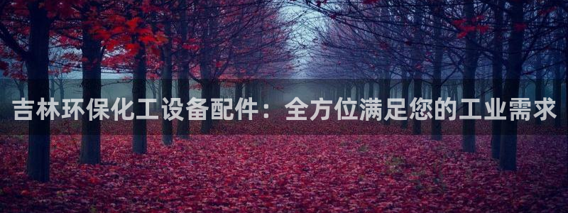 mr001亿万先生：吉林环保化工设备配件：全方位满足您的工业需求