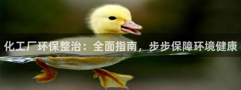 亿万先生客户端下载：化工厂环保整治：全面指南，步步保障环境健康