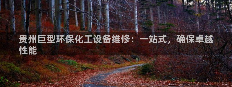 亿万先生合并网址是多少：贵州巨型环保化工设备维修：一站式，确保卓越
性能