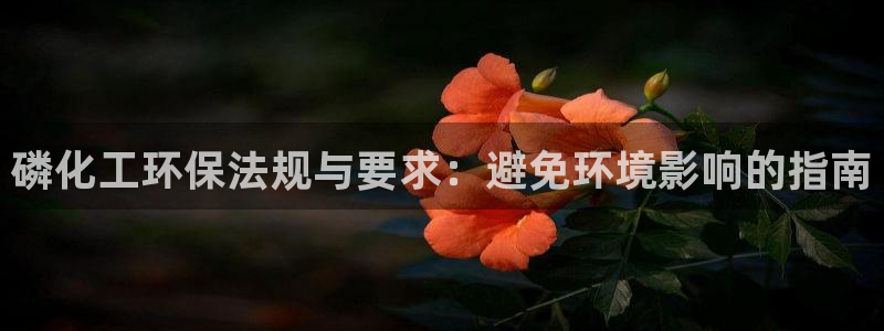 亿万同人字幕分享jogoduplo：磷化工环保法规与要求：避免环境影响的指南