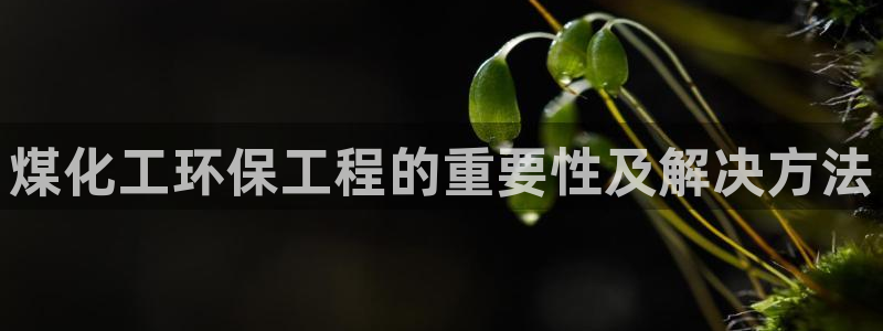 亿万先生首页：煤化工环保工程的重要性及解决方法