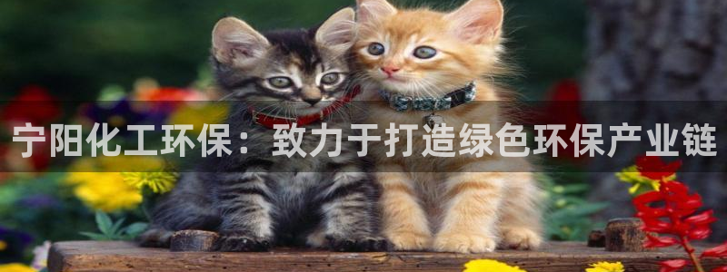 亿万小说免费阅读全文：宁阳化工环保：致力于打造绿色环保产业链