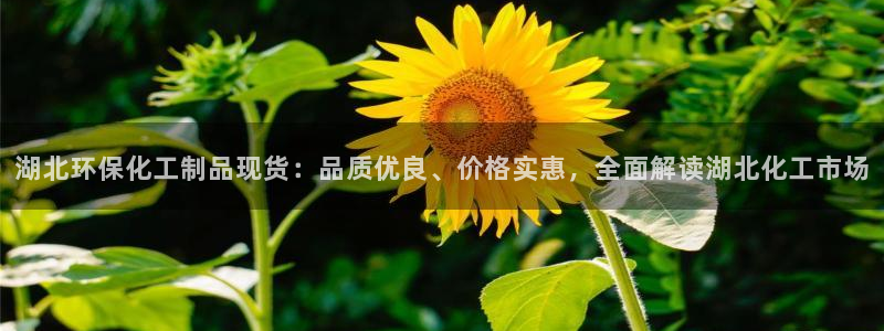 亿万先生mr07：湖北环保化工制品现货：品质优良、价格实惠，全面解读湖北化工市场