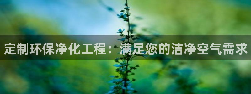 亿万第一季字幕：定制环保净化工程：满足您的洁净空气需求