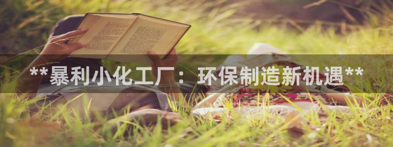 亿万官网：**暴利小化工厂：环保制造新机遇**