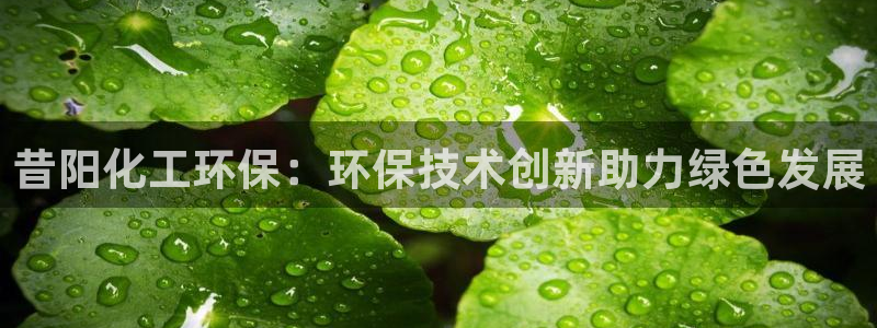 亿万先生客户端官网登录不了：昔阳化工环保：环保技术创新助力绿色发展
