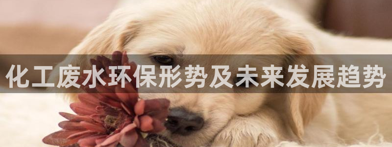 亿万先生手机版：化工废水环保形势及未来发展趋势